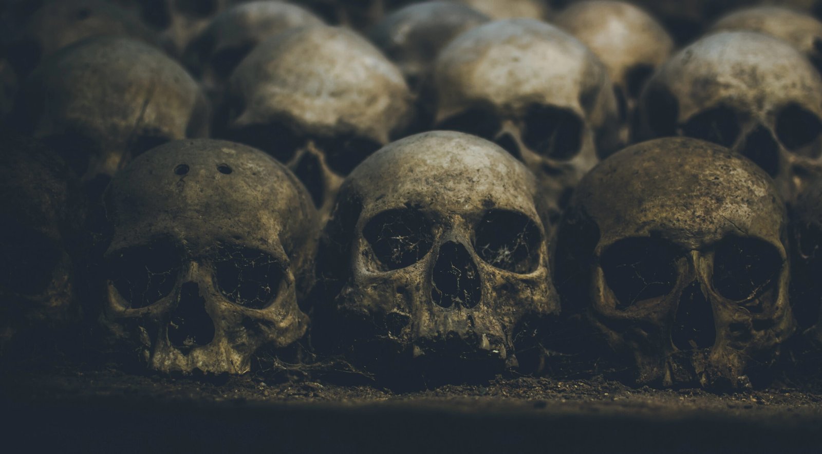Group of Skulls